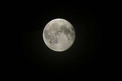 В РАН объяснили отсутствие на снимках «Луны-25» следов американцев на Луне