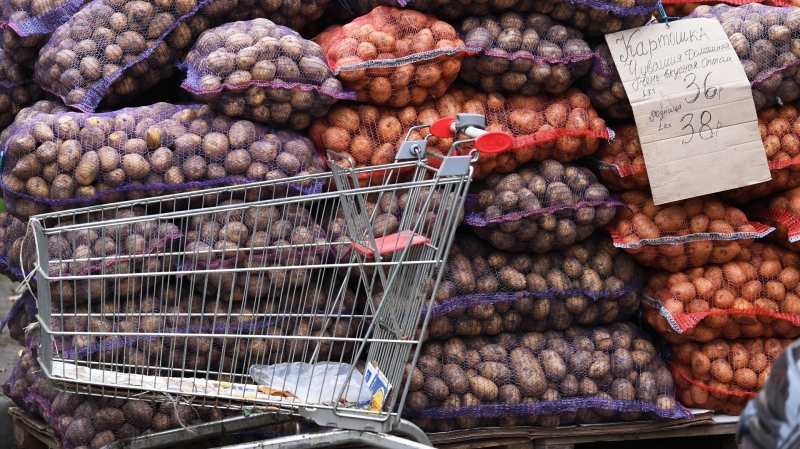 Цены на картофель в России снизились почти на четверть