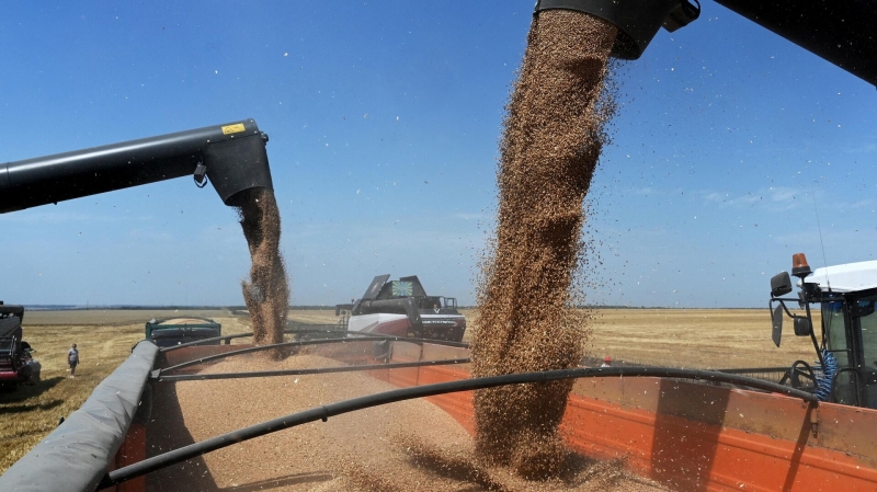 На Украине строят логистический центр для экспорта зерна, сообщили СМИ