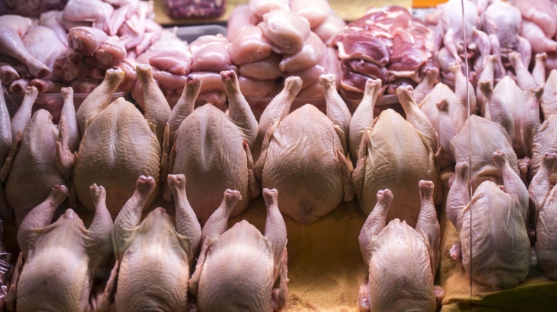 ФАС проверит обоснованность цен на мясо птицы