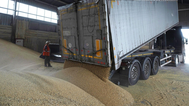 ЕС сочла преждевременным обсуждать продление ограничений на зерно с Украины