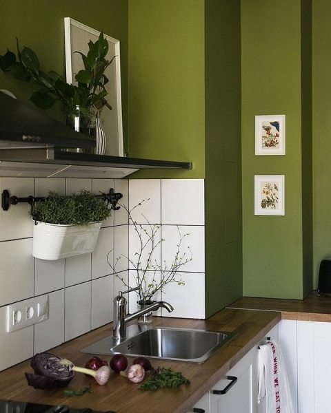 Зеленая кухня: советы по оформлению, удачные сочетания и 100 фото для вдохновения