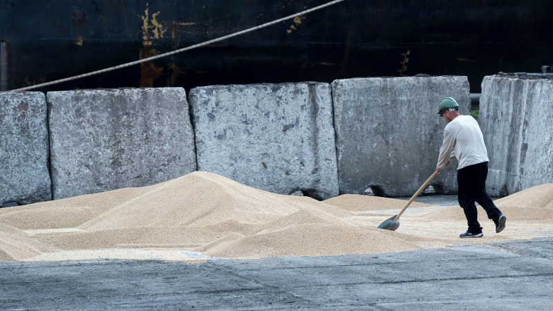 В Латвии заявили, что могут с осени начать перевозить украинское зерно